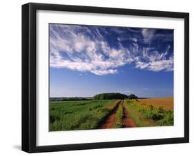 Meadow Bank, Prince Edward Island, Canada-Walter Bibikow-Framed Photographic Print