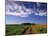 Meadow Bank, Prince Edward Island, Canada-Walter Bibikow-Mounted Photographic Print