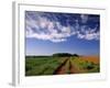 Meadow Bank, Prince Edward Island, Canada-Walter Bibikow-Framed Photographic Print