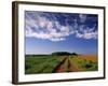 Meadow Bank, Prince Edward Island, Canada-Walter Bibikow-Framed Photographic Print