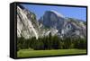 Meadow below Half Dome in Yosemite National Park, California, USA-Michel Hersen-Framed Stretched Canvas