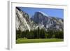 Meadow below Half Dome in Yosemite National Park, California, USA-Michel Hersen-Framed Photographic Print