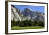 Meadow below Half Dome in Yosemite National Park, California, USA-Michel Hersen-Framed Photographic Print