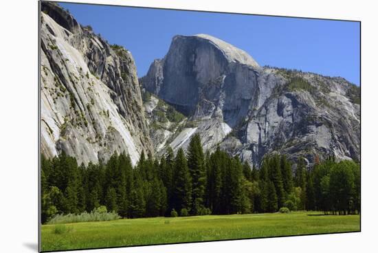 Meadow below Half Dome in Yosemite National Park, California, USA-Michel Hersen-Mounted Photographic Print
