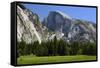 Meadow below Half Dome in Yosemite National Park, California, USA-Michel Hersen-Framed Stretched Canvas