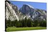 Meadow below Half Dome in Yosemite National Park, California, USA-Michel Hersen-Stretched Canvas