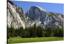 Meadow below Half Dome in Yosemite National Park, California, USA-Michel Hersen-Stretched Canvas