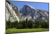 Meadow below Half Dome in Yosemite National Park, California, USA-Michel Hersen-Mounted Photographic Print