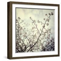 Meadow Bloom-Irene Suchocki-Framed Giclee Print