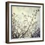 Meadow Bloom-Irene Suchocki-Framed Giclee Print