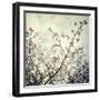 Meadow Bloom-Irene Suchocki-Framed Giclee Print