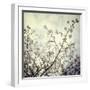 Meadow Bloom-Irene Suchocki-Framed Giclee Print