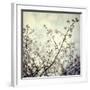 Meadow Bloom-Irene Suchocki-Framed Giclee Print