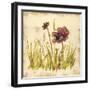 Meadow Blooms-Bella Dos Santos-Framed Art Print