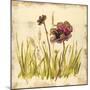 Meadow Blooms-Bella Dos Santos-Mounted Art Print