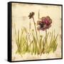 Meadow Blooms-Bella Dos Santos-Framed Stretched Canvas