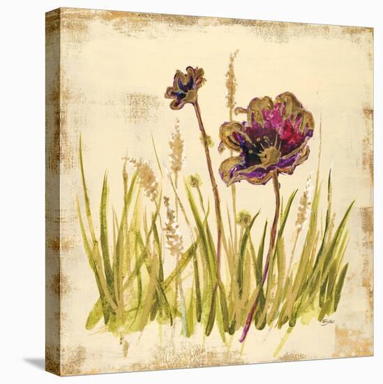 Meadow Blooms-Bella Dos Santos-Stretched Canvas