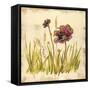 Meadow Blooms-Bella Dos Santos-Framed Stretched Canvas