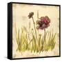 Meadow Blooms-Bella Dos Santos-Framed Stretched Canvas