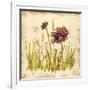 Meadow Blooms-Bella Dos Santos-Framed Art Print