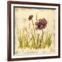 Meadow Blooms-Bella Dos Santos-Framed Art Print