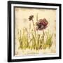 Meadow Blooms-Bella Dos Santos-Framed Art Print