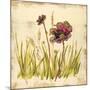 Meadow Blooms-Bella Dos Santos-Mounted Art Print