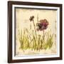 Meadow Blooms-Bella Dos Santos-Framed Art Print