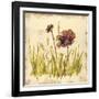 Meadow Blooms-Bella Dos Santos-Framed Art Print