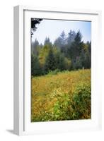 Meadow, Blue Ridge Parkway, Smoky Mountains, USA.-Anna Miller-Framed Photographic Print