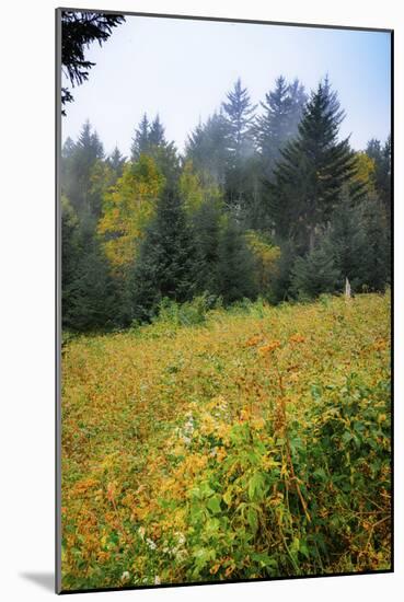 Meadow, Blue Ridge Parkway, Smoky Mountains, USA.-Anna Miller-Mounted Photographic Print