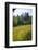 Meadow, Blue Ridge Parkway, Smoky Mountains, USA.-Anna Miller-Framed Photographic Print