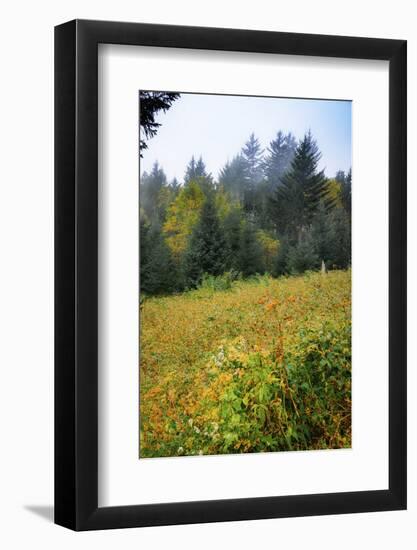 Meadow, Blue Ridge Parkway, Smoky Mountains, USA.-Anna Miller-Framed Photographic Print