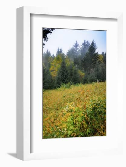 Meadow, Blue Ridge Parkway, Smoky Mountains, USA.-Anna Miller-Framed Photographic Print