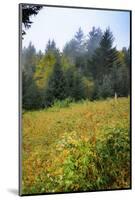 Meadow, Blue Ridge Parkway, Smoky Mountains, USA.-Anna Miller-Mounted Photographic Print