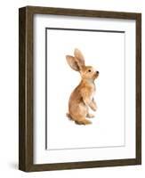 Meadow Buddy I-Lanie Loreth-Framed Art Print