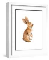 Meadow Buddy I-Lanie Loreth-Framed Art Print