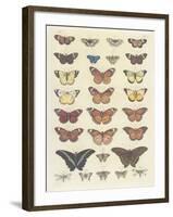 Meadow Butterflies-Maria Mendez-Framed Giclee Print