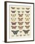 Meadow Butterflies-Maria Mendez-Framed Giclee Print