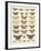 Meadow Butterflies-Maria Mendez-Framed Giclee Print