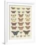 Meadow Butterflies-Maria Mendez-Framed Giclee Print