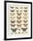 Meadow Butterflies-Maria Mendez-Framed Giclee Print