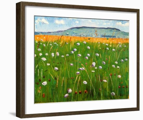 Meadow, c.1902-Ferdinand Hodler-Framed Art Print