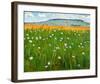 Meadow, c.1902-Ferdinand Hodler-Framed Art Print