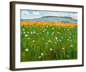 Meadow, c.1902-Ferdinand Hodler-Framed Art Print