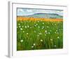 Meadow, c.1902-Ferdinand Hodler-Framed Art Print