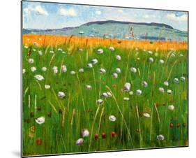 Meadow, c.1902-Ferdinand Hodler-Mounted Art Print