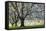 Meadow, Cherry Trees, Blossom-Herbert Kehrer-Framed Stretched Canvas