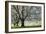 Meadow, Cherry Trees, Blossom-Herbert Kehrer-Framed Photographic Print