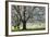 Meadow, Cherry Trees, Blossom-Herbert Kehrer-Framed Photographic Print